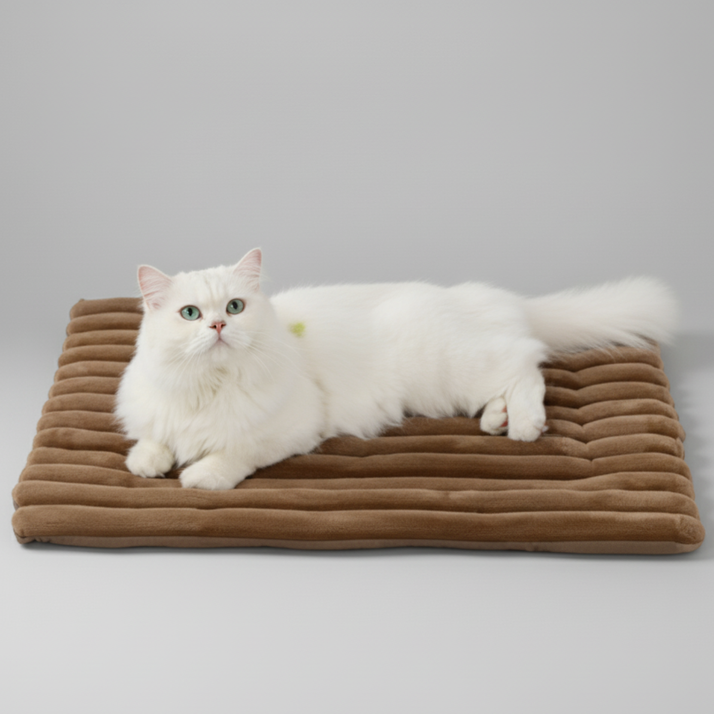 Heated Pet Mat
