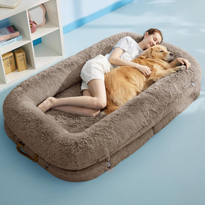 3-in-1 Foldable Bed for You and Your Pup