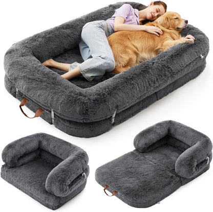 3-in-1 Foldable Bed for You and Your Pup