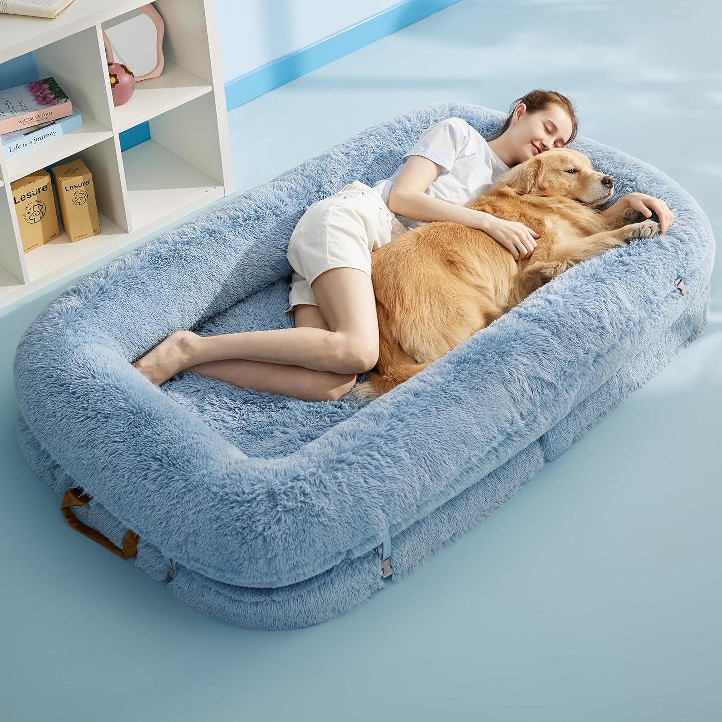 3-in-1 Foldable Bed for You and Your Pup