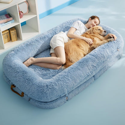 3-in-1 Foldable Bed for You and Your Pup
