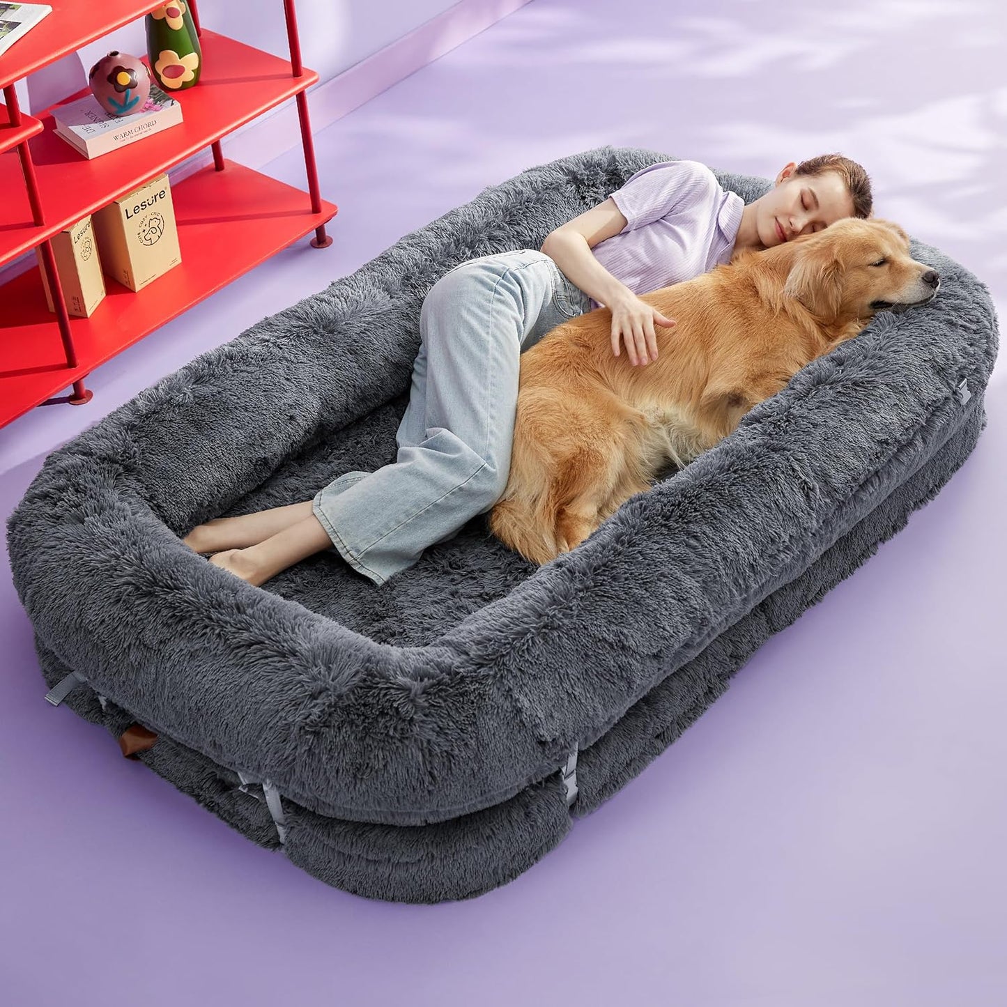 3-in-1 Foldable Bed for You and Your Pup