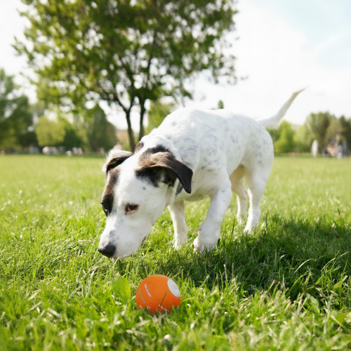 <p>Loved by everyone, everywhere. Don’t miss out.</p>