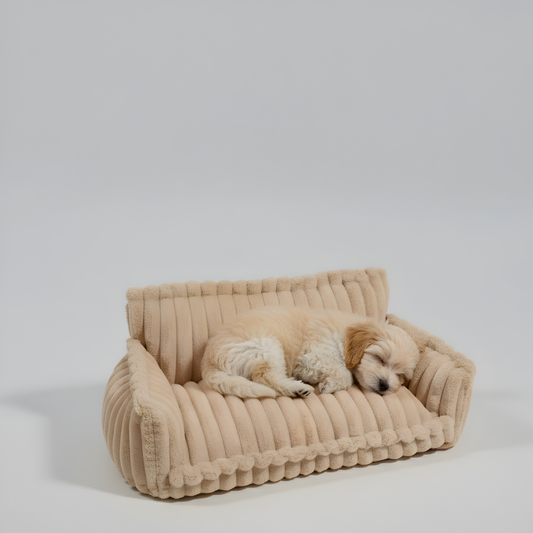 Orthopedic Dog Bed