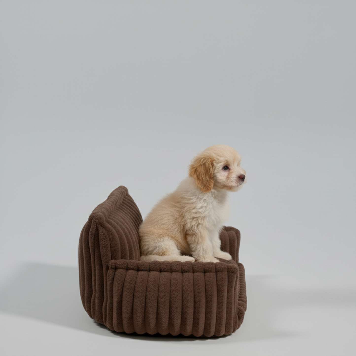 Orthopedic Dog Bed