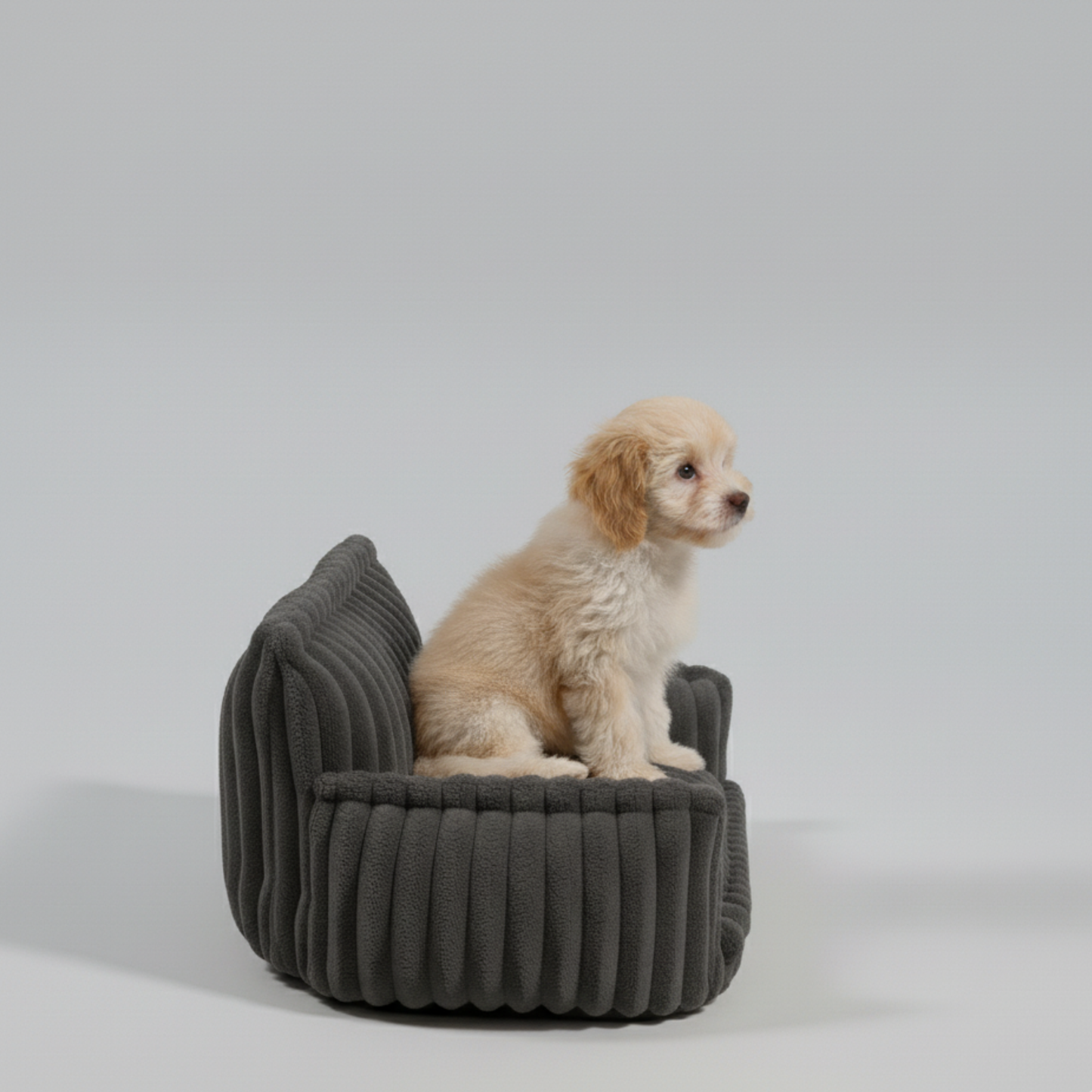Orthopedic Dog Bed