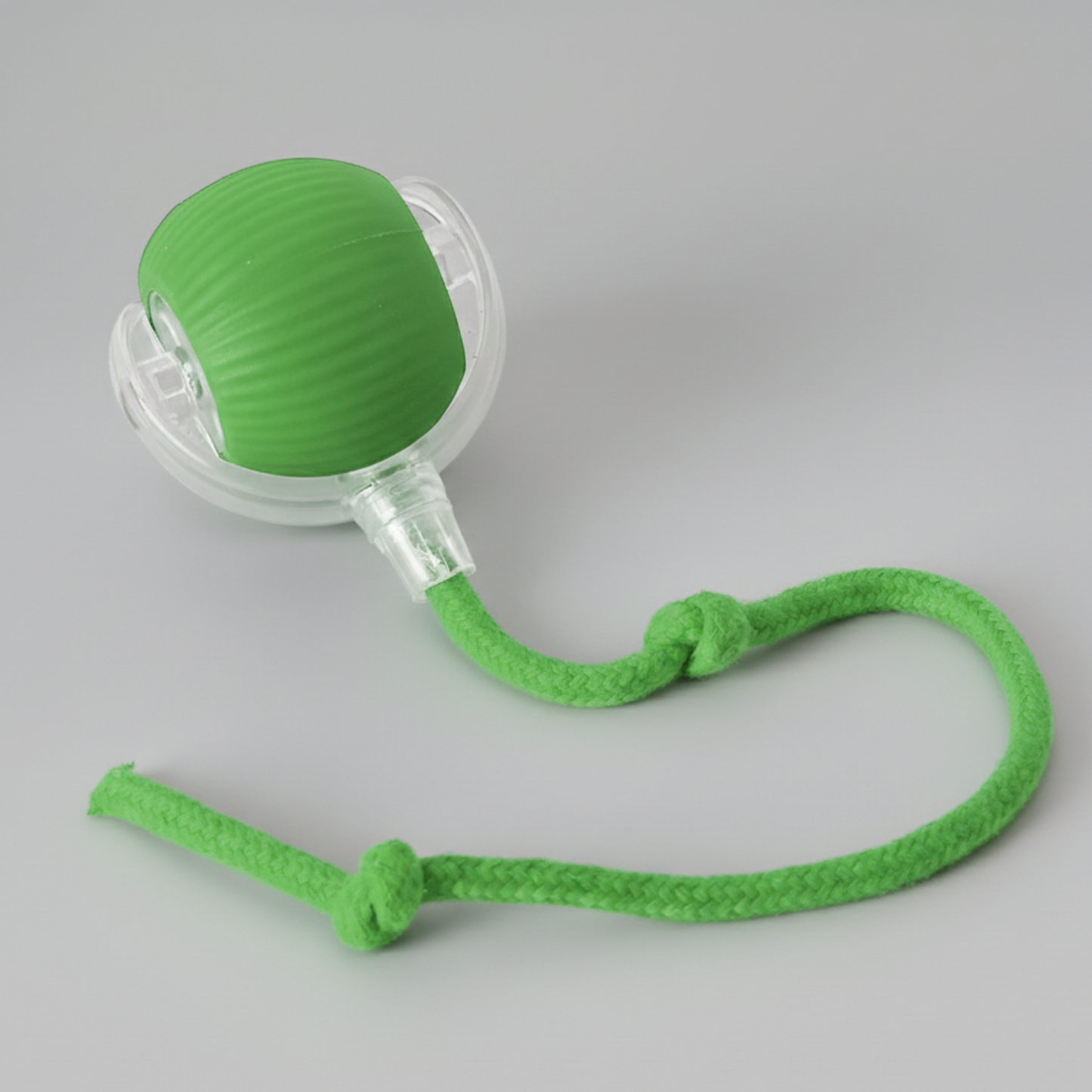Interactive Ball Toy with Tail