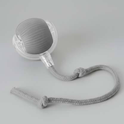 Interactive Ball Toy with Tail