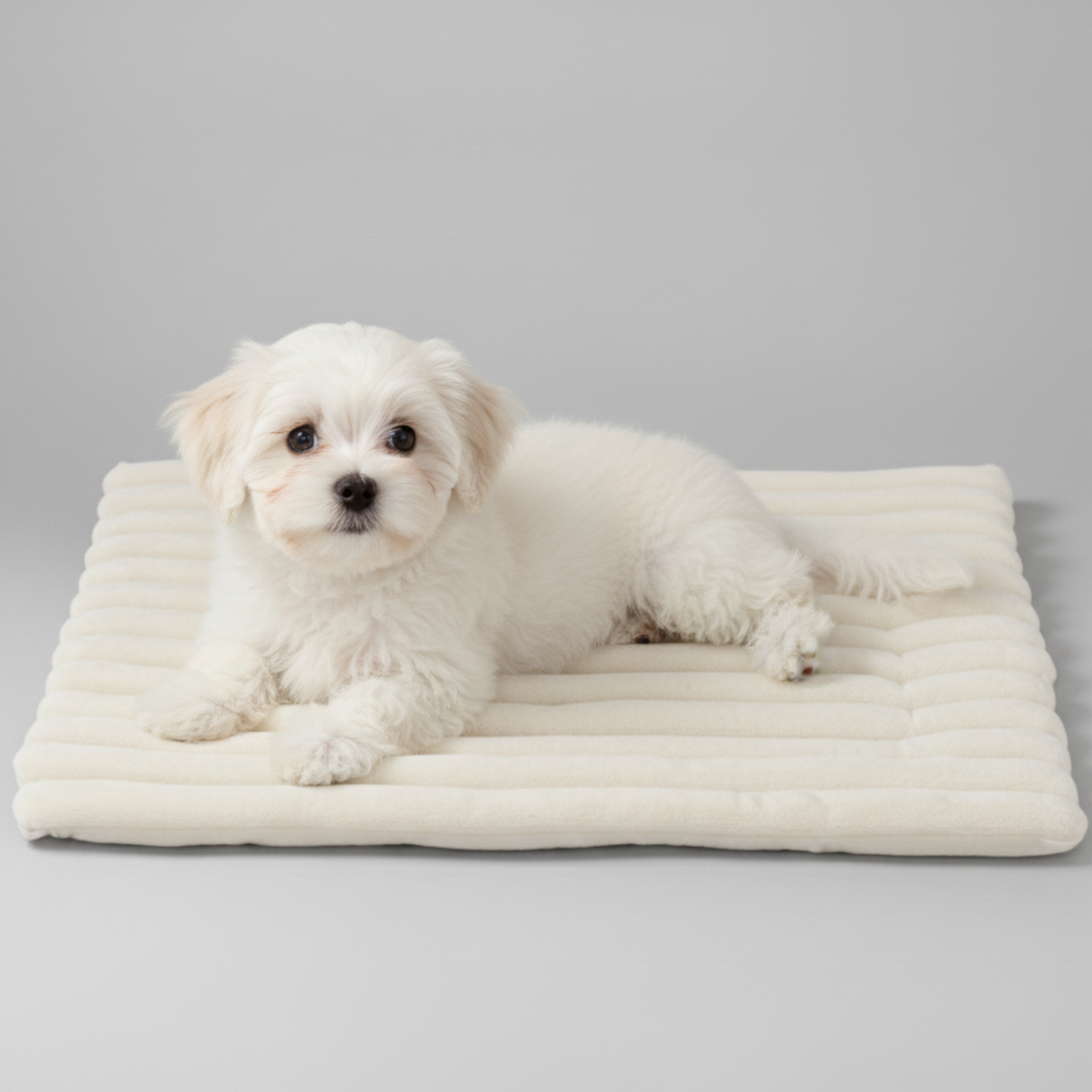 Heated Pet Mat