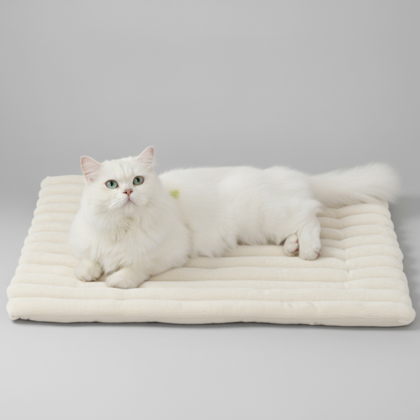 Heated Pet Mat