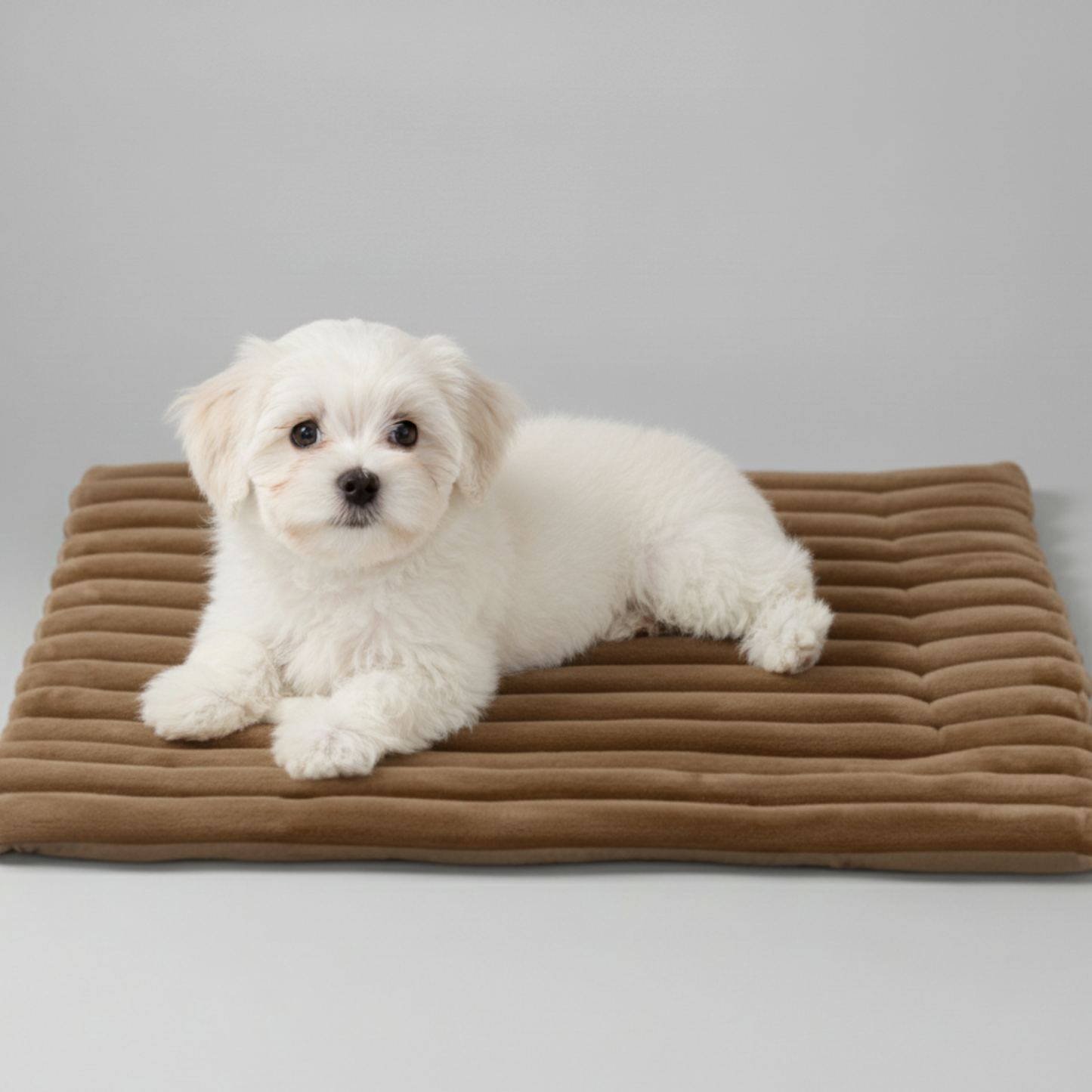Heated Pet Mat