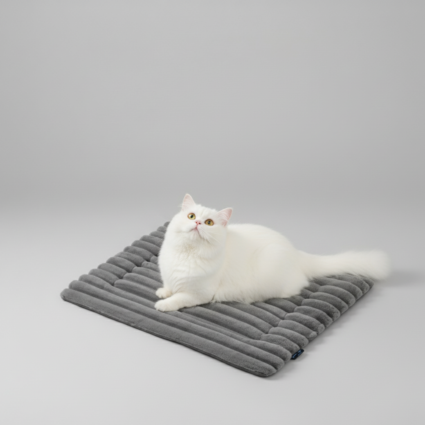 Heated Pet Mat